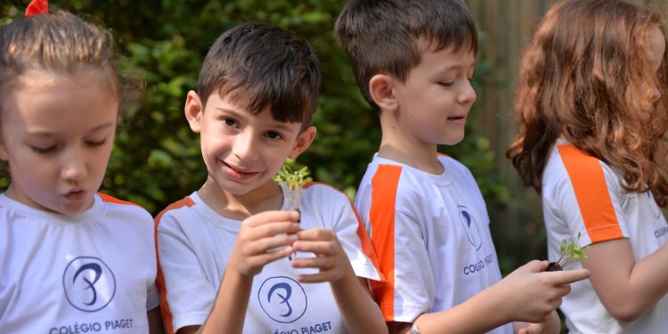 Que maravilha a natureza na nossa escola!