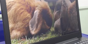 video da aula de lumielabs