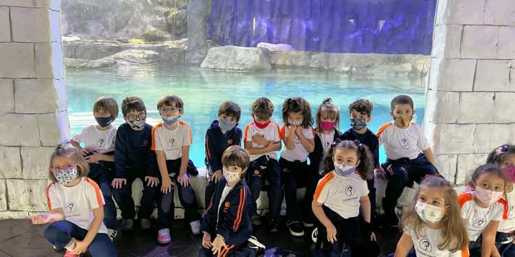 Passeios Educativos – Aquário