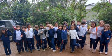 Laboratório de ciência em casa