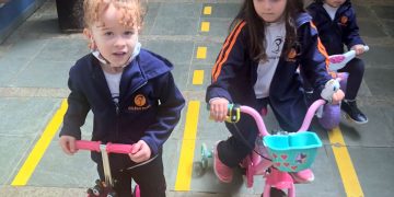 Da lagarta à borboleta