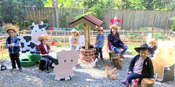 Brincando de Fazendinha