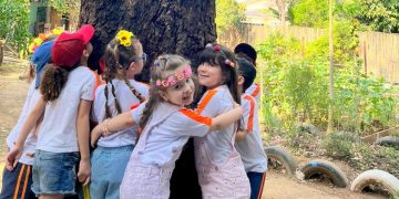 Apreciando as árvores da nossa escola