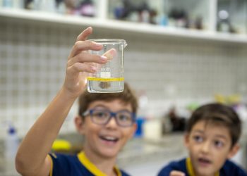 AULAS NO LABORATÓRIO PARA O FUNDAMENTAL I