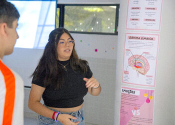 O cérebro e as emoções