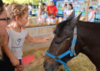 Evento Cultural 2023 – Educação Infantil “45 anos do Colégio Piaget”