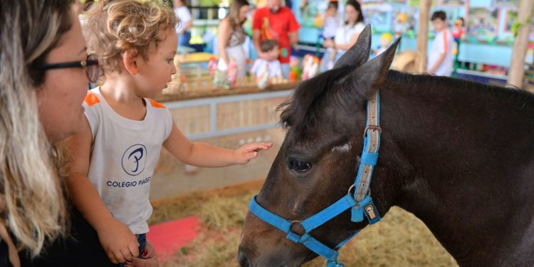 Evento Cultural 2023 – Educação Infantil “45 anos do Colégio Piaget”