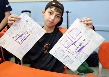 MAPA MENTAL: recurso de revisão para as provas