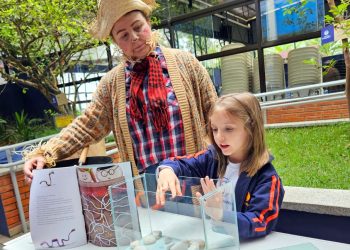 Montagem de um Minhocário