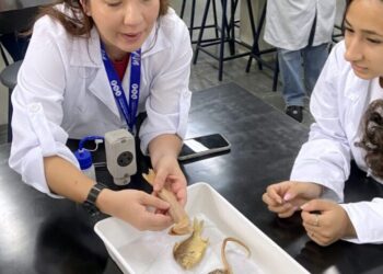 Iniciação à Ictiologia no Ensino Médio