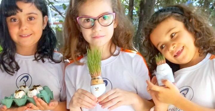 O solo é tão importante quanto a água e o ar