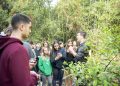 Aula de Botânica no “bosque” da nossa escola