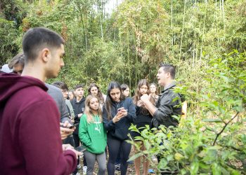 Aula de Botânica no “bosque” da nossa escola