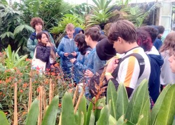 Visita pedagógica ao Jardim Botânico de São Paulo